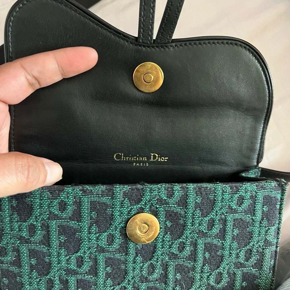 Dior Oblique Belt Bag. Limited Edition. Green. FINAL SALE. - Picture 2 of 5